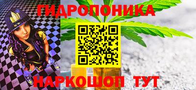 наркотики Новозыбков